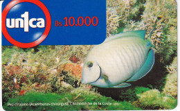 TARJETA DE UNICA DE VENEZUELA DE UN PEZ CIRUJANO (FISH) - Venezuela