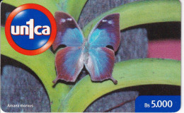 TARJETA DE UNICA DE VENEZUELA DE UNA MARIPOSA AMAEA MORVUS (BUTTERFLY) - Venezuela