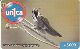 TARJETA DE UNICA DE VENEZUELA DE UN PAJARO CHIVITO DE LOS PARAMOS (BIRD) - Venezuela