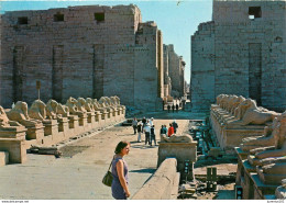 CPSM Luxor-Sphinx Road Karnak Temple       L2370 - Luxor