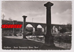 CORCHIANO - PONTE FERROVIARIO ROMA NORD F/GRANDE  VIAGGIATA 1955 - Viterbo