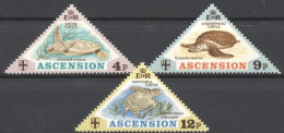 Ascension 1973, Turtle, 3val - Ascension