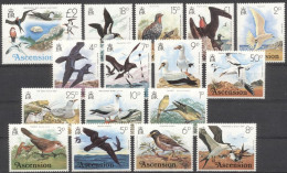 Ascension 1976, Birds, 16val - Marine Web-footed Birds