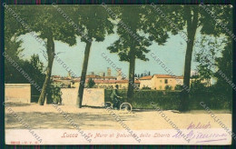 Lucca Città PIEGHINE Cartolina QQ2464 - Lucca