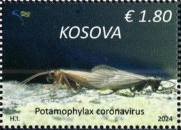 Kosovo, 2024, Fauna: Potamophylax Coronavirus (MNH) - Kosovo