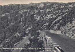 CARTOLINA  APPENNINO TOSCO-ROMAGNOLO FORLI-CESENA EMILIA ROMAGNA STRADA DEL PASSO DEI MANDRIOLI M. 1173 VIAGGIATA 1956 - Forlì