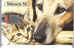 CARTE-PUCE-PRIVEE-PUBLIC-50U-EN978-JD-SO5-06/94-WAD-ANIMAUX-V°N° Série DN° A 46012266-UTILISE-TBE- - 50 Unidades