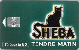 CARTE-PUCE-PRIVEE-PUBLIC- 50U-EN680-SC7-06/93-SHEBA 1 VERT-R°Glacé-V°N° Rge C35141615-3500Ex-Utilisé--TBE-RARE-Cote 75€ - 50 Unidades