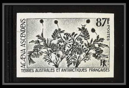 85427 N°53 Acaeno Adscendens Fleurs (plants - Flowers) Terres Australes Taaf Essai Color Proof Non Dentelé Imperf ** MNH - Imperforates, Proofs & Errors