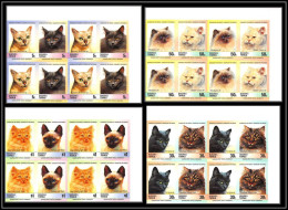 86423c Nanumea Tuvalu Mi 47/52 B Chat Cat Cats Chats ** MNH 1985 Siamese Turkish Himalayan Non Dentelé Imperf Bloc De 4 - Tuvalu