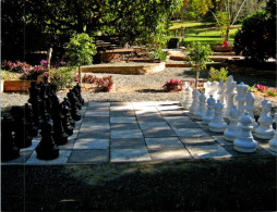 27-6-2024 (106) Australia - Palmwoods Giant Chess Board / Jeux D'Echec Géant / Riesenschachspiele - Echecs