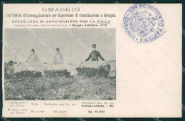 Reggio Calabria Città Militari Agricoltura Cartolina QZ4046 - Reggio Calabria