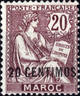 MAROC - 1902-03 Yv.13 20c Brun-lilas Mouchon - Gomme Partielle (c.40€) - Nuovi