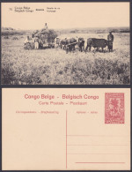 Belgium Belgisch Congo 1910's Mint 10 Cents Post Card, Palm Tree, Bullock Cart, Agriculture, Postcard, Postal Stationery - 1884-1894