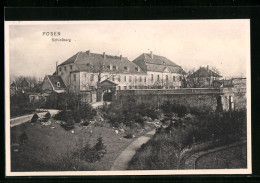 AK Posen / Poznan, Schlossberg Mit Anlagen  - Posen