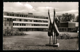 AK Ratzeburg, Lauenburgische Gelehrtenschule Im Fuchswald  - Ratzeburg