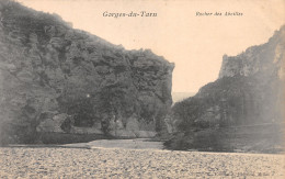 48-GORGES DU TARN ROCHER DES ABEILLES-N°3877-D/0379 - Unused Stamps