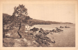 83-LE LAVANDOU-N°T2937-G/0317 - Le Lavandou