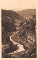 48-GORGES DU TARN LE POINT SUBLIME-N°3877-H/0143 - Nuevos