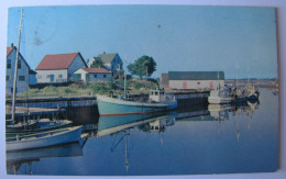 CANADA - ILE DU PRINCE EDOUARD - MURRAY - Fishing Fleet At Harbour - 1966 - Other & Unclassified