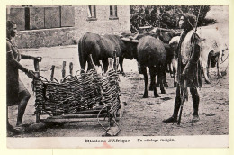 08033 ● ● A Localiser Missions AFRIQUE Noire ATTELAGE Traineau Buffle INDIGENE Ethnologie Types Scènes 1920s - Ohne Zuordnung