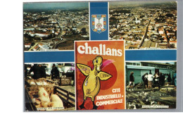 CHALLANS 85 - Vue Générale D'ensemble Marché Aux Cochons Aux Canards Illustration Caneton 1982 - Challans