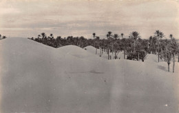 ALGERIE COLOMB BECHAR LES DUNES - Bechar (Colomb Béchar)