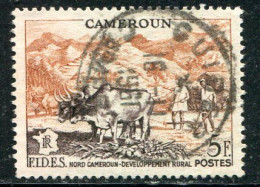 CAMEROUN- Y&T N°300- Oblitéré - Oblitérés