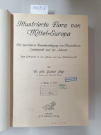 Llustrierte Flora Von Mittel-Europa. Mit Besonderer Berücksichtigung Von Deutschland, Oesterreich Und Der Sch - Andere & Zonder Classificatie