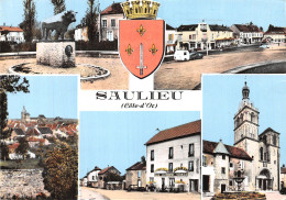 21-SAULIEU-N°T1128-B/0157 - Saulieu