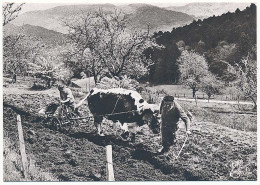 CPSM / CPM 10.5 X 15 Photographe JOËL COUCHOURON Les Vieux Métiers (Les Vosges) Le Labour Bœuf Charrue Paysans - Altri & Non Classificati