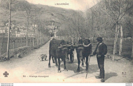 15 L'AUVERGNE ATTELAGE AUVERGNAT - Attelages