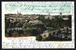 AK Waldenburg, Gesamtansicht  - Waldenburg (Sachsen)