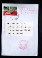 JAPON SEUL SUR LETTRE POUR LA FRANCE 2009 - Lettres & Documents