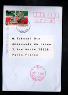 JAPON SEUL SUR LETTRE POUR LA FRANCE 2009 - Brieven En Documenten