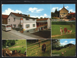 AK Erlenbach / Odenwald, Gasthaus Schorsch, Dorfgemeinschaftshaus, Bergtierpark  - Odenwald