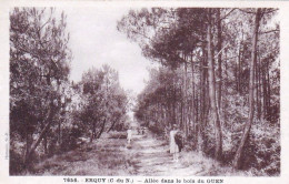 22 -  ERQUY - Allée Dans Le Bois Du Guen - Erquy