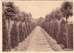 LOVENDEGEM - Soeurs De La Charité - Zusters Van Liefde -  Institut Bernadette - Allée Et Chapelle Pere Triest - Lovendegem