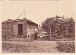 LOVENDEGEM - Soeurs De La Charité - Zusters Van Liefde -  Institut Bernadette - Poulailler - Lovendegem