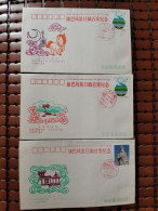 China FDC Of Scenery Chop In Tibet Region - Lettres & Documents