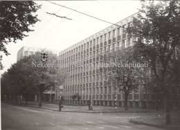 Kaunas, Vandens ūkio Projektavimo Institutas, Apie 1980 M. Fotografija. Dydis - 11,8x8,9 Cm. - Lituania