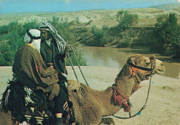 JORDANIE - Jordan River - Rivière Du Jourdain - Animé - Un Homme Chevauchant Un Dromadaire - Carte Postale - Jordanie