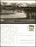 Sonthofen Niedersonthofer See - Blick Zum Allgäuer Hochgebirge 1969 - Sonthofen