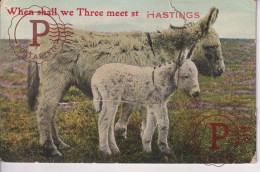 POSTAL MOVIL. SYSTÈME. SYSTEM. UK. WHEN SHALL WE THREE MEET AT HASTINGS. BURROS. DONKEY - Hastings