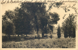 VAL D'OISE  BOISSY L'AILLERIE  " L'Oiseau Bleu " Maison De Vacances  ( Vers Le Tennis ) - Boissy-l'Aillerie