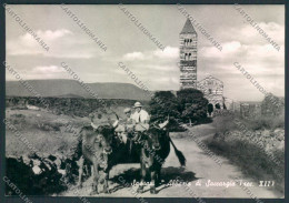 Sassari Abbazia Saccargia Foto FG Cartolina EE3932 - Sassari