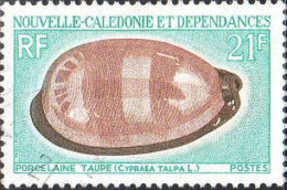 Nle-Calédonie Poste Obl Yv: 371 Mi:487 Porcelaine Taupe Cypraea Talpa L (cachet Rond) - Conchiglie