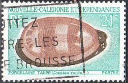 Nle-Calédonie Poste Obl Yv: 371 Mi:487 Porcelaine Taupe Cypraea Talpa L (Belle Obl.mécanique) - Conchiglie