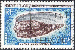 Nle-Calédonie Poste Obl Yv: 354 Mi:458 Conus Geographus (Belle Obl.mécanique) - Conchiglie