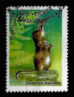 Russia CCCP 1985 Fauna Y.T. 5240 (0) - Oblitérés